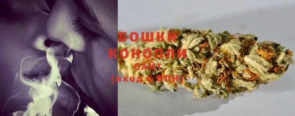 метадон Горнозаводск
